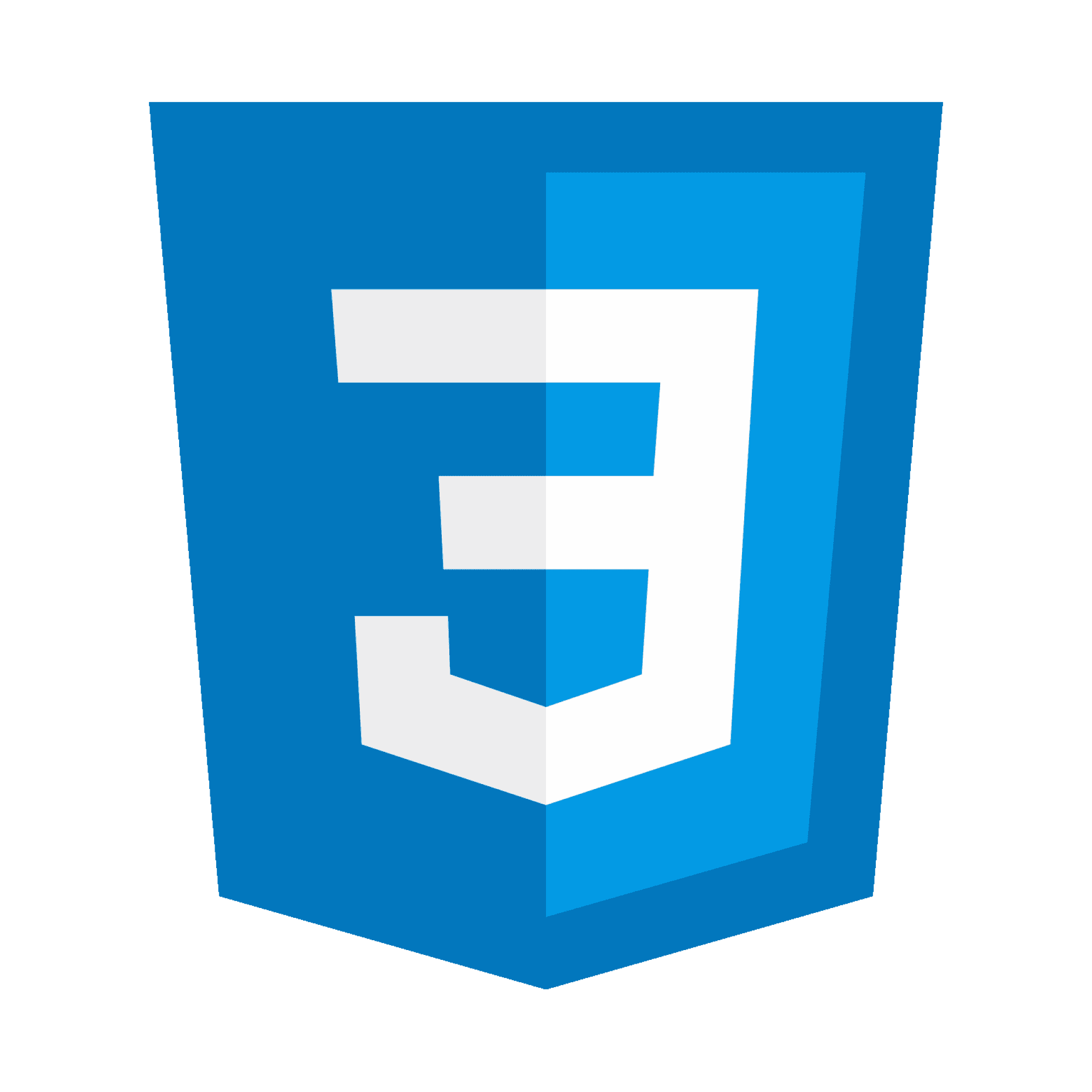 CSS